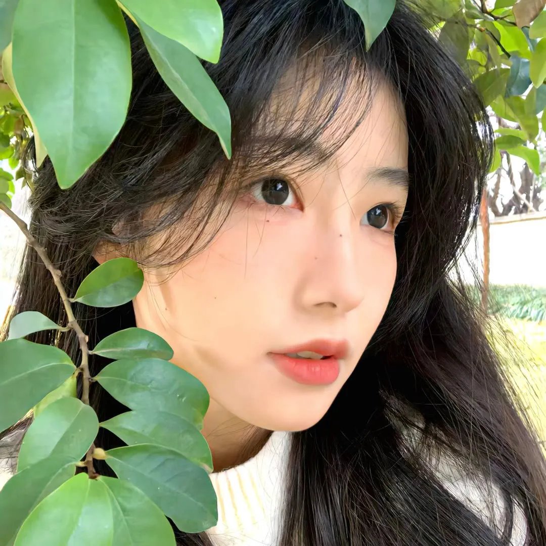花花万物万花筒